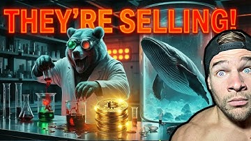 Bitcoin Dead Cat Bounce? Live BTC ALTS Trading & Analysis