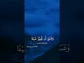 وعسى أن تكرهوا شيئا وهو خير لكم منصور السالمى