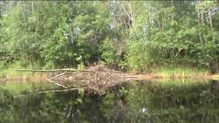 Zweden 2011 Kanotour Op De Klarälven