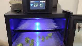 cannatrol dry cure .. small 4/20 batch!