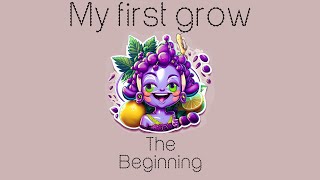 My first grow - the beginning (Part I)