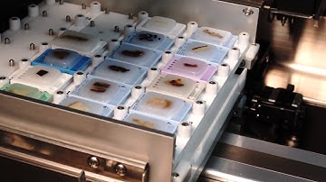 AS410M Auto Sectioning System with Polish Text