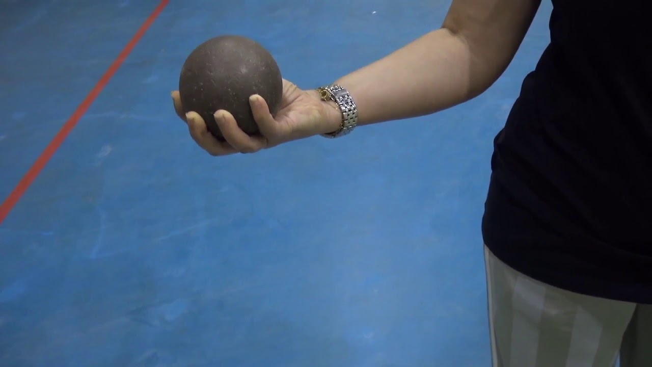 الصف الثامن الدرس5 دفع الجلة من الحركة