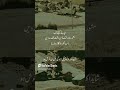 سو طرح سے جی کو بہلایا کبھی اپنے ہی دل سے باتیں کیں کبھی تیری یاد کو سمجھایا Quotes Poetry 100 سو طرح سے جی کو بہلایا کبھی اپنے ہی دل سے باتیں کیں کبھی تیری یاد کو سمجھایا Quotes Poetry 100