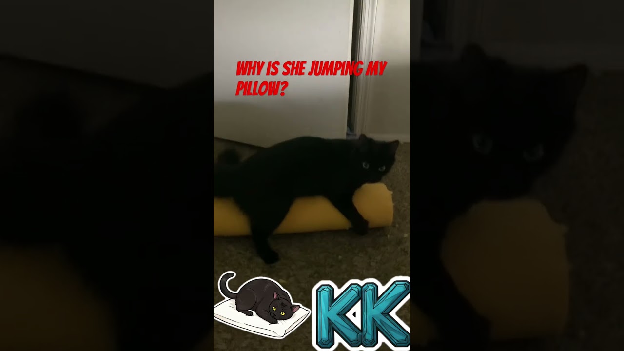 I’m washing the cover! 