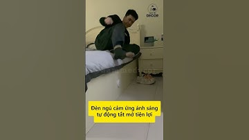 Đèn ngủ cảm ứng ánh sáng tự động tắt mở tiện lợi #hammedecor #decor #dodungtienich #denngu #denled