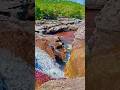 Warum leuchtet dieser Fluss in Kolumbien so bunt?