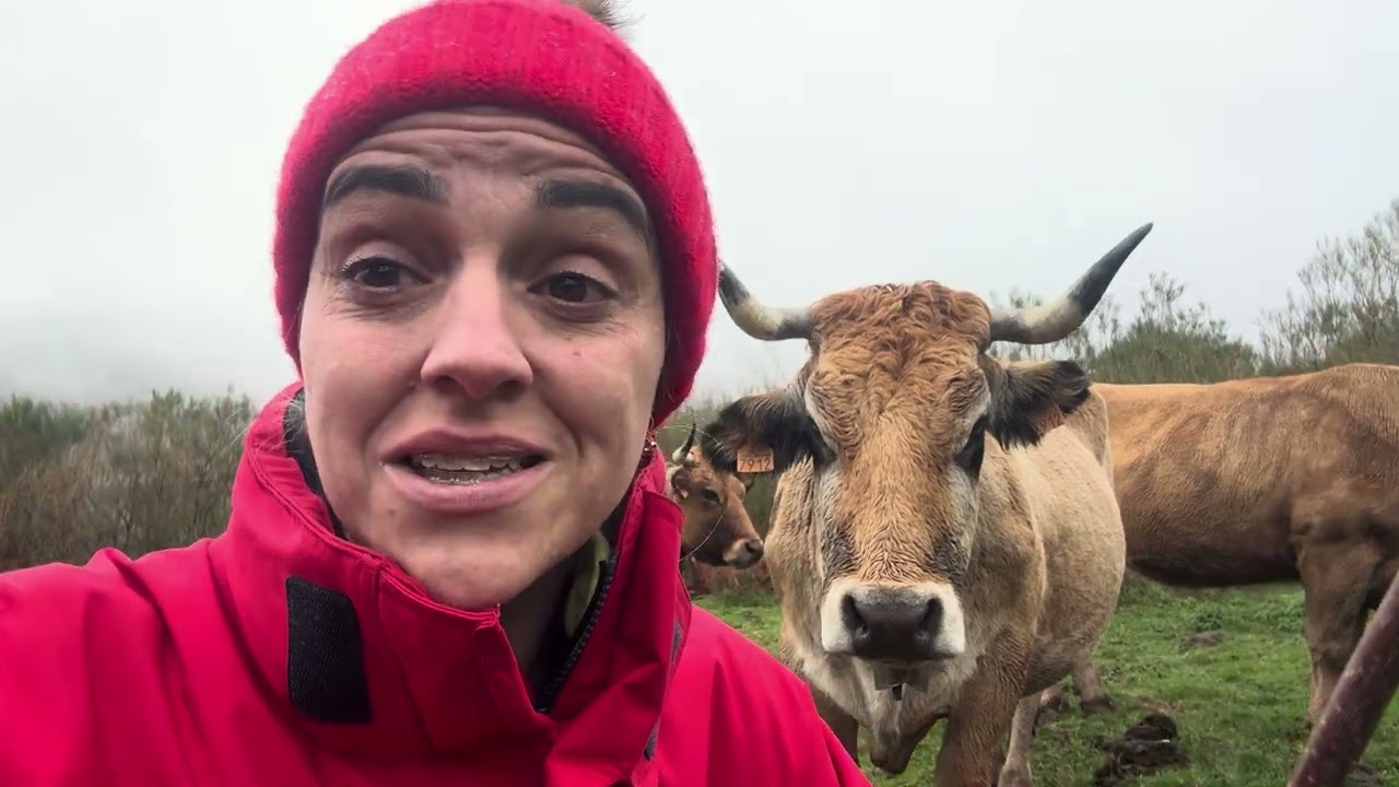 A todos los sanitarios 