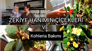 Zeki̇ye Hanimin Çi̇çekleri̇ Ve Kohlera Bakimi