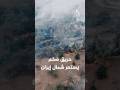إيران.. حريق بغابات عمرها ملايين السنين شمالي البلاد