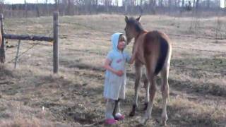 Horses, Mikala & Brookyn jump on Flicka bareback