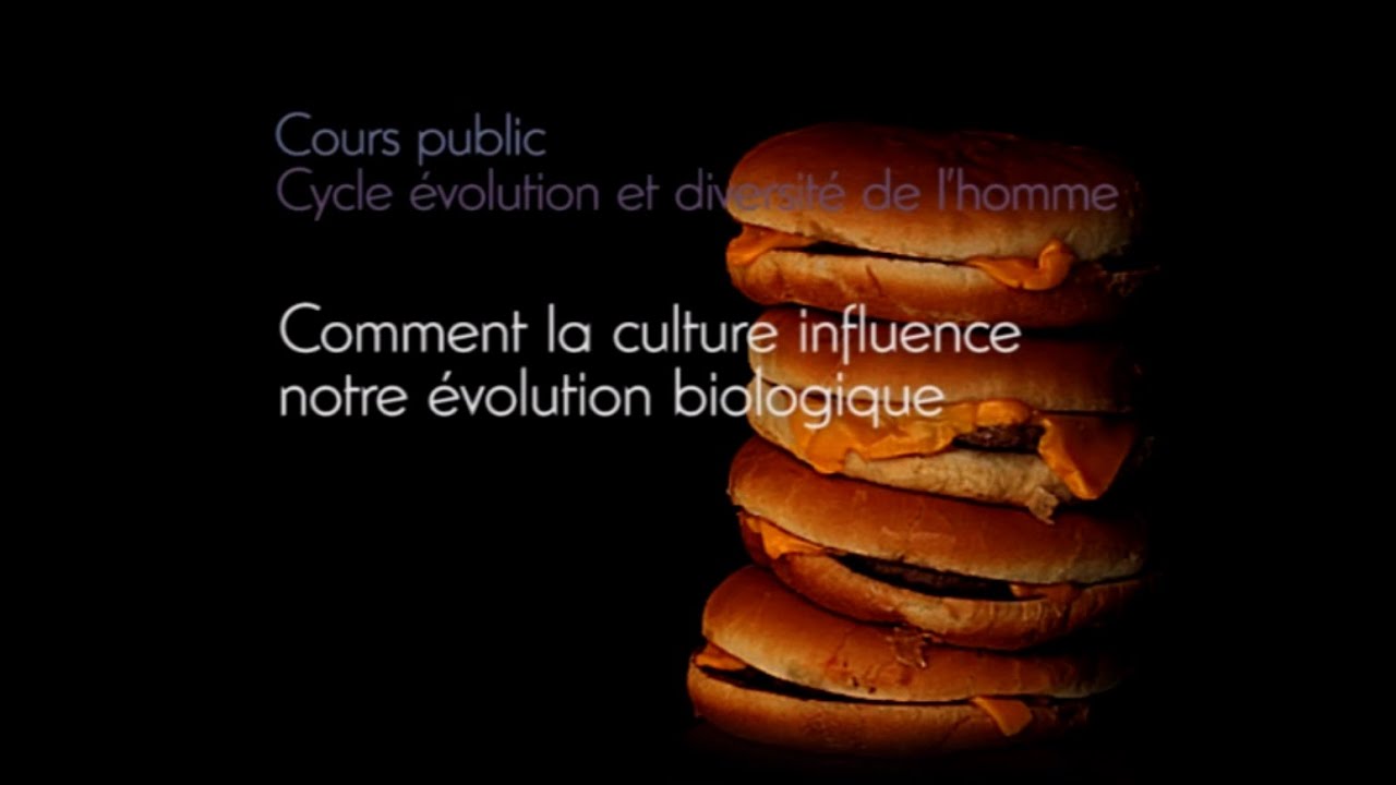 Comment la culture influence notre évolution biologique (3/3)