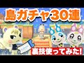 【あつ森】初めての島ガチャ30連( ⸝•ᴗ•⸝)♡時間操作しつつレア住民💗ジュンくん💗を求めて・・・♡【あつまれどうぶつの森】