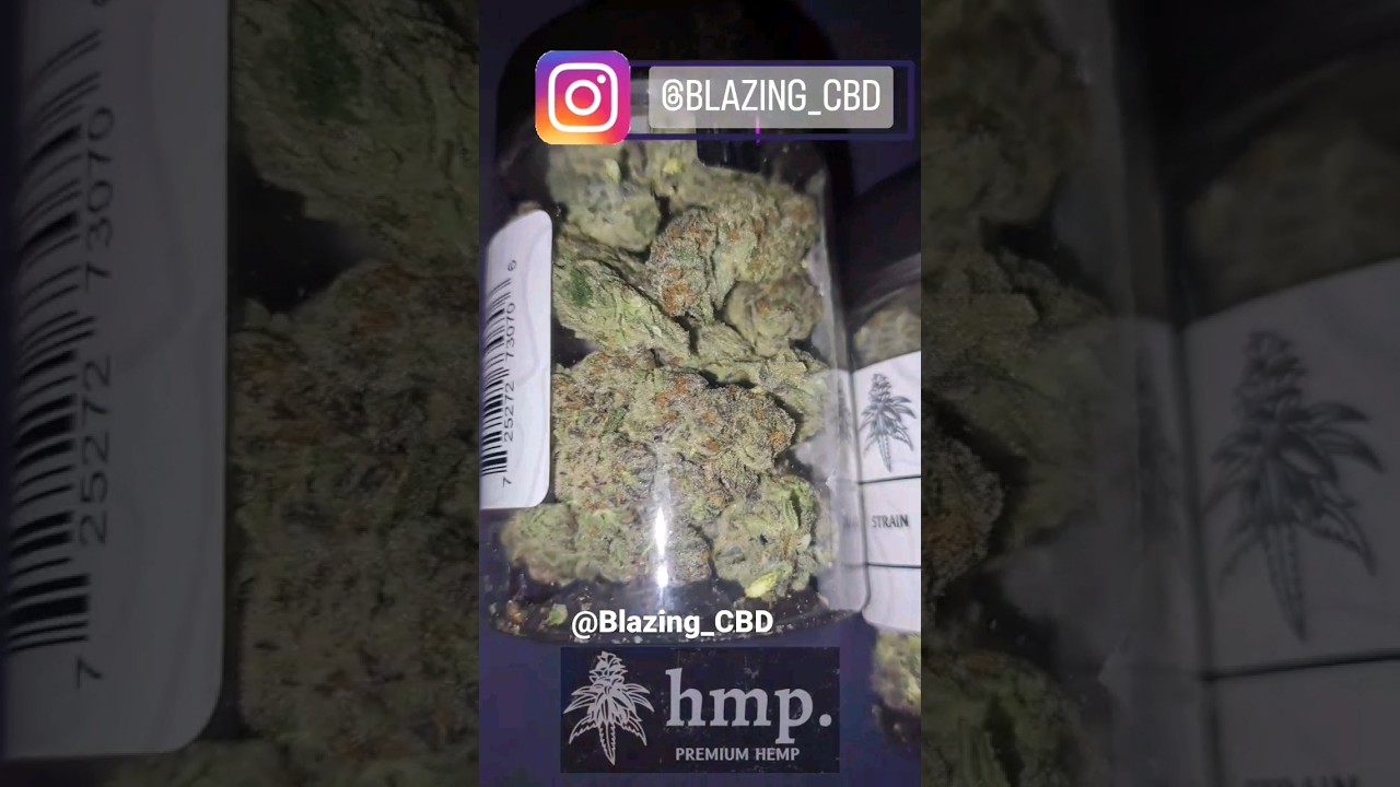 hmp.store THCA Galaxy Oreoz (Review out) 