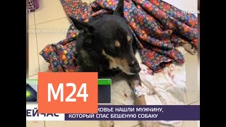 Появились эксклюзивные кадры из клиники, куда мужчина привез бешеную собаку - Москва 24 Появились эксклюзивные кадры из клиники, куда мужчина привез бешеную собаку - Москва 24