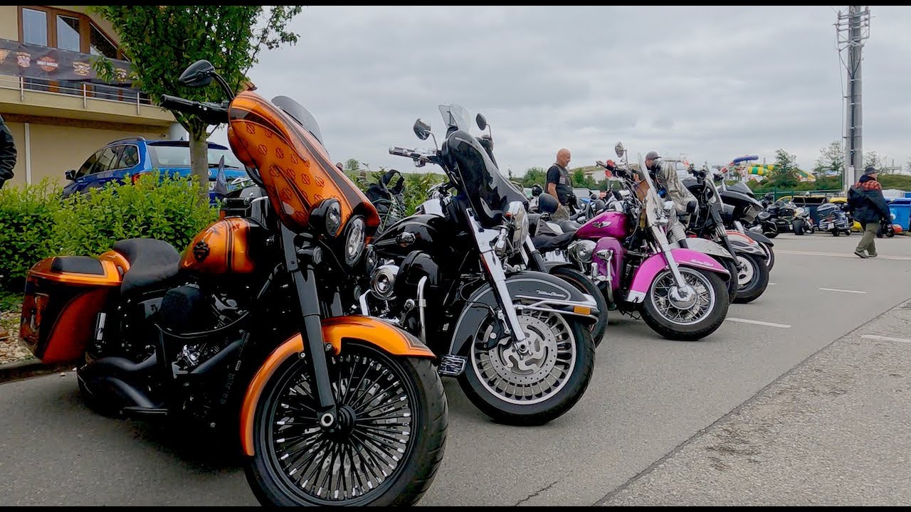 Harley-Davidson Sportster Rider #harleydavidson #harleygirl #harley #exhaust #motorcycle #sportster