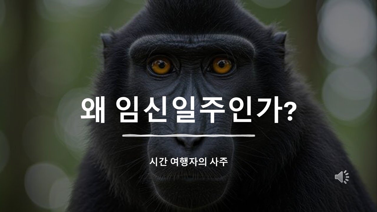 병오년이라는 시간... 왜 우리는 임신일주를 주목해야하는가?