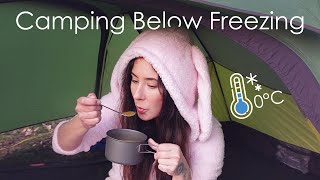 Freezing & Frosty Wild Camping 🧊 Sub Zero in the Woods!