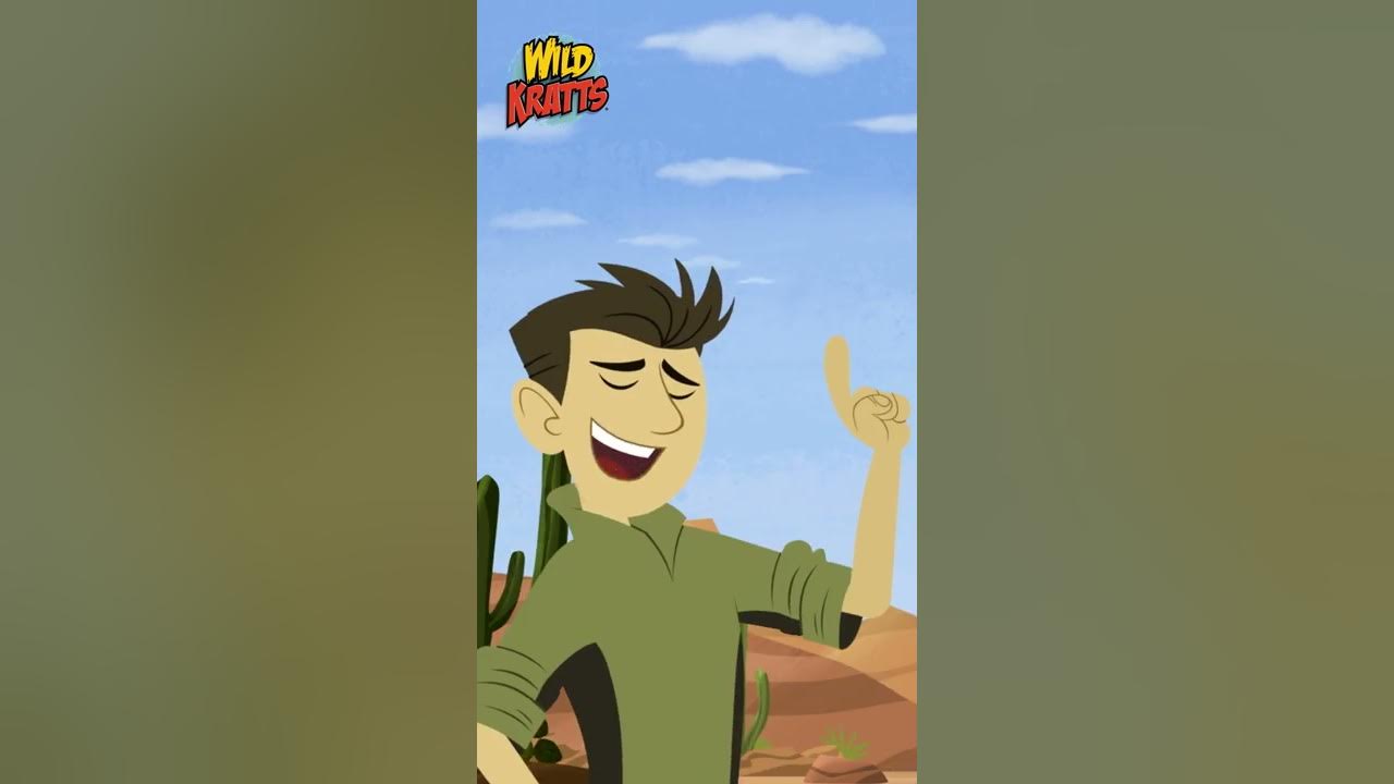 Wolf Hawks | WILD KRATTS | Nature - YouTube