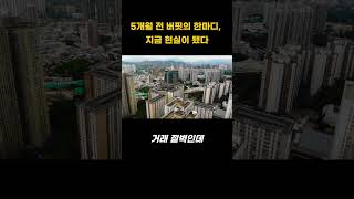 부동산 대신 주식 샀더니 50% 수익? 버핏의 통찰 재조명