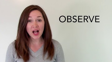 Observe | Spotlight
