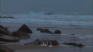 Tik Tok Dz 2023 - Jdid Rai 2023 Rai 2023 Tik Tok Algeria 2023 Rai Jdid 2023 Tiktok 4