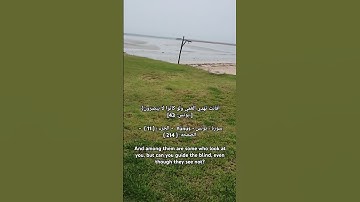 أَفَأَنتَ تَهْدِي الْعُمْيَ وَلَوْ كَانُوا لَا يُبْصِرُونَ﴾[ يونس: 43]سورة : يونس - Yūnus  - 