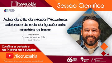 Achando o fio da meada: Mecanismos celulares e de rede da ligação entre memórias no tempo