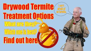 Drywood Termite Treatment Options