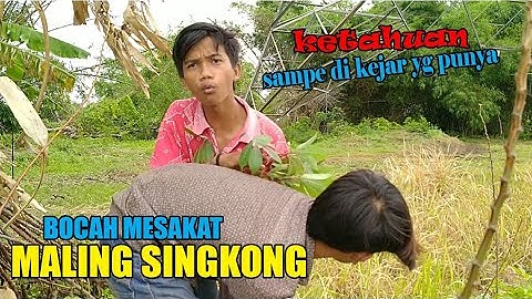 film pendek lucu - maling singkong (bocah mesakat part 1)