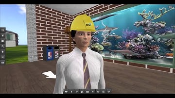 Second Life Orientation Overview Video