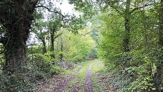 Rougham Estate Walks  Green Lanes