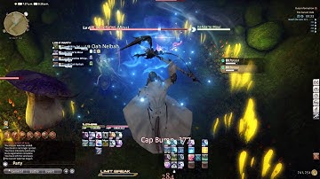 FFXIV Command Mission: Aurum Vale (for Greg)