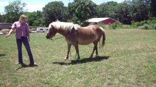M4H04416.MP4