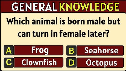 General knowledge Quiz 🤯 | Test Your IQ and Challenge Your Brain!" #39