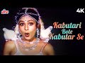 Kabutari Bole Kabutar Se 4K Suraj 1997 Mithun Ayesha Jhulka Udit Narayan 90 S Old Hindi Songs Kabutari Bole Kabutar Se 4K Suraj 1997 Mithun Ayesha Jhulka Udit Narayan 90 S Old Hindi Songs