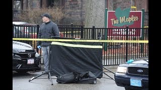 Homicide investigation: Deceased male found underneath vehicle at Springfield apartment complex
