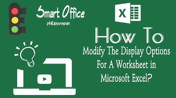 How to Modify The Display Options For A Worksheet in Microsoft Excel?