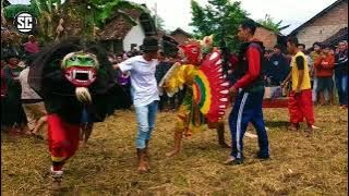 Macan Macanan Jaranan Sekar Sari Live Ledok