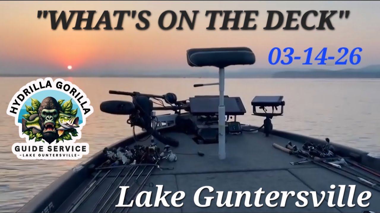 03-14-26   “WHAT'S ON THE DECK”   Lake Guntersville Fishing Report!