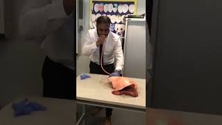 Lung Inflation In Science Lesson Teacher