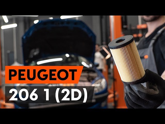 Come sostituire filtro olio motore e olio motore su PEUGEOT 206 1 (2D)  [VIDEO TUTORIAL DI AUTODOC] - YouTube