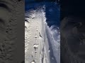 Fox and wolf tracks in the trail!