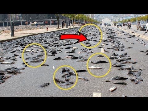 10 Самых Странных Осадков в Мире