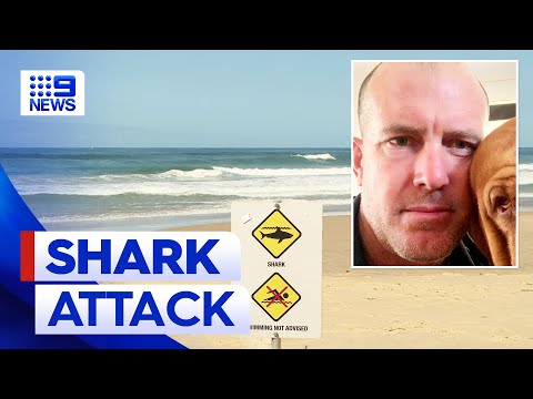 Man in critical condition after shark attack off NSW beach | 9 News Australia