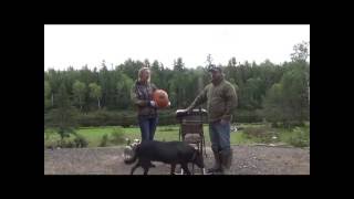exploding pumpkin