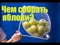 Приспособление для сбора яблок и ореха в зеленой кожуре.