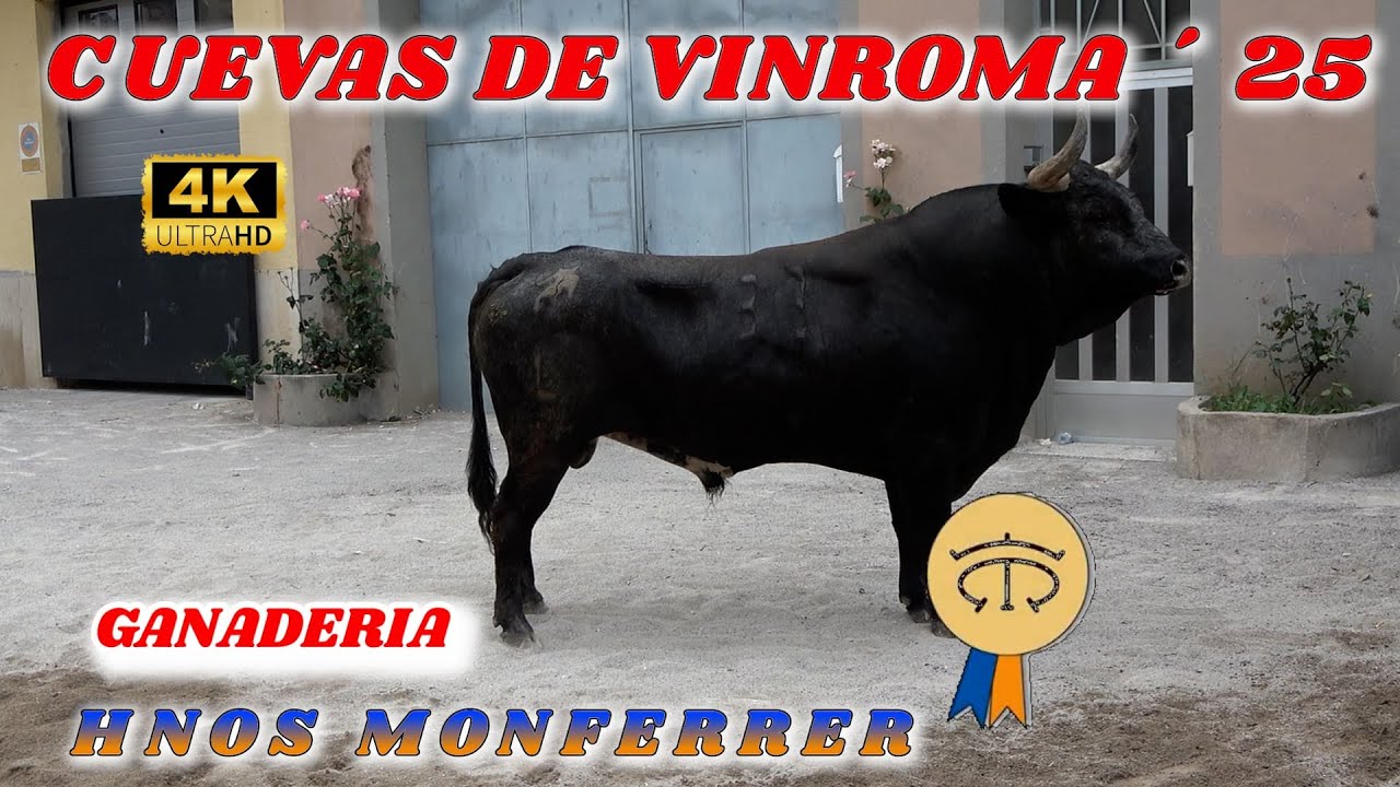 🔝💯08 06 2025 CUEVAS DE VINROMA HNOS MONFERRER