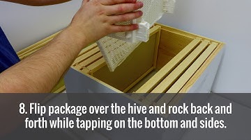 Bee Bus - Package Bee Instructional Video