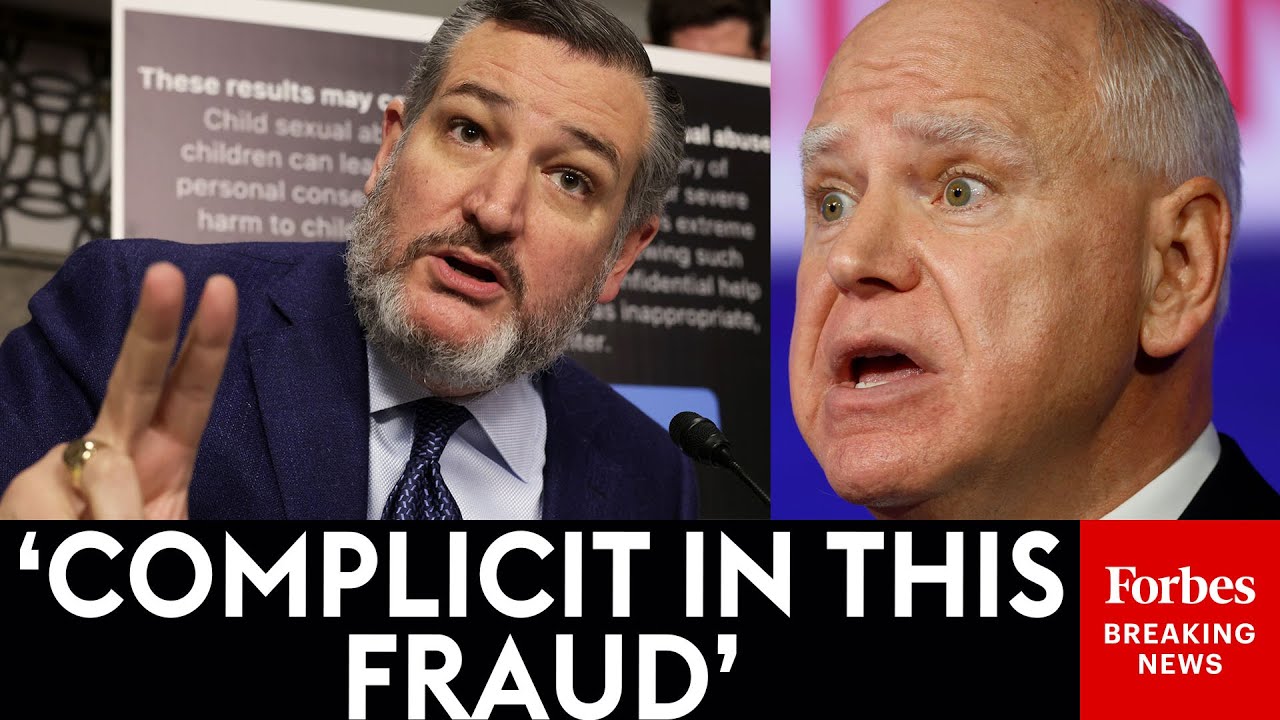 BREAKING NEWS: Ted Cruz Directly Accuses Top Minnesota Democrats Of Allowing Massive Organized Fraud